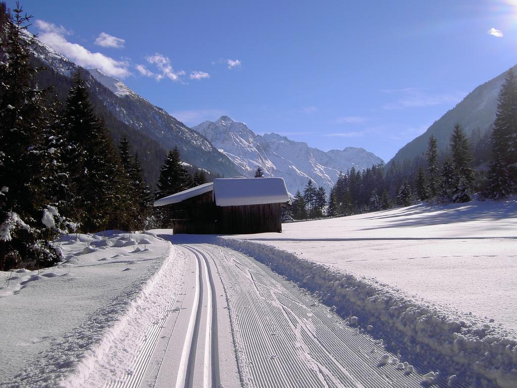 Wellnesshuettendorf Wiese Sankt Leonhard im Pitztal Ngoại thất bức ảnh